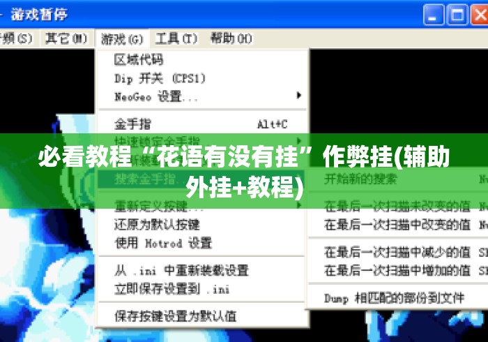 必看教程“花语有没有挂”作弊挂(辅助外挂+教程)