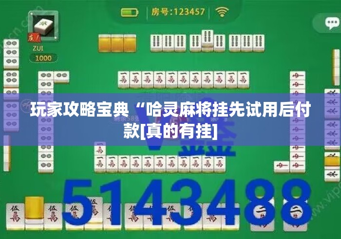 玩家攻略宝典“哈灵麻将挂先试用后付款[真的有挂]