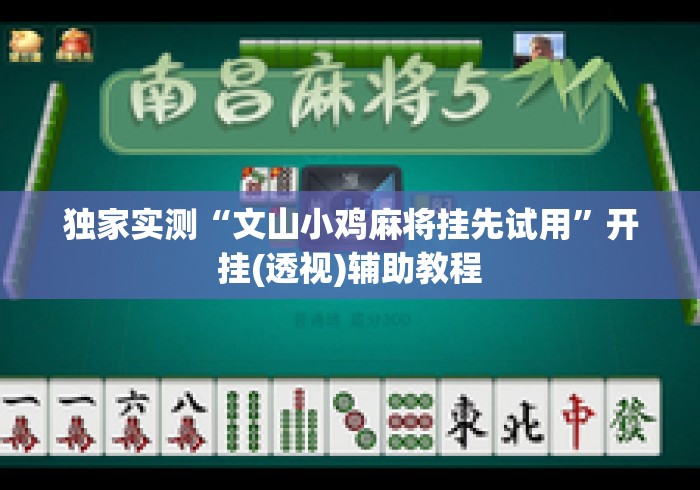 独家实测“文山小鸡麻将挂先试用”开挂(透视)辅助教程