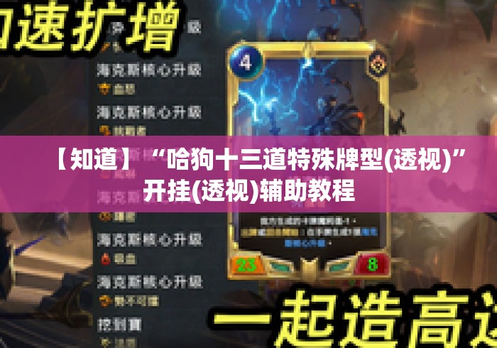 【知道】“哈狗十三道特殊牌型(透视)”开挂(透视)辅助教程
