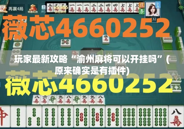 玩家最新攻略“渝州麻将可以开挂吗”(原来确实是有插件)