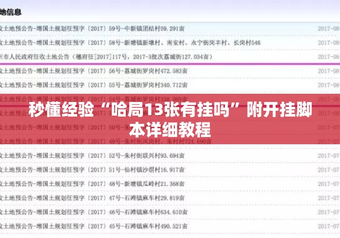 秒懂经验“哈局13张有挂吗”附开挂脚本详细教程