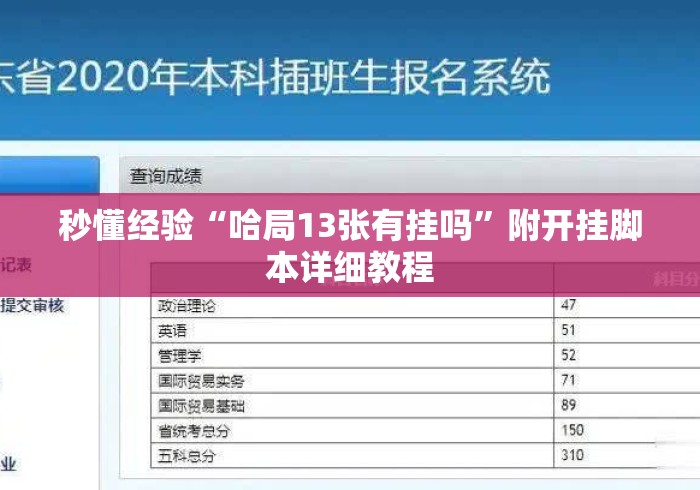 秒懂经验“哈局13张有挂吗”附开挂脚本详细教程