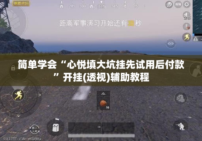 简单学会“心悦填大坑挂先试用后付款”开挂(透视)辅助教程