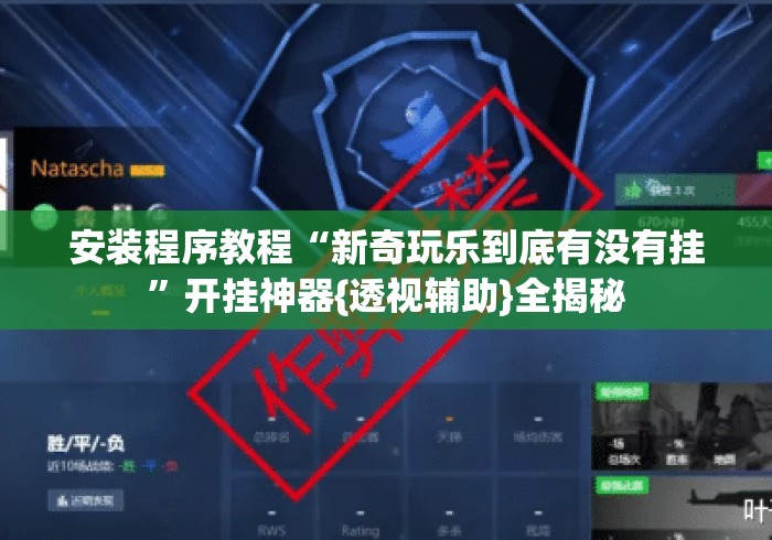 安装程序教程“新奇玩乐到底有没有挂	”开挂神器{透视辅助}全揭秘