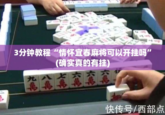 3分钟教程“情怀宜春麻将可以开挂吗”(确实真的有挂)