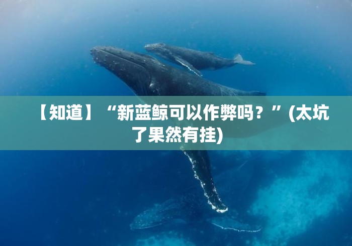 【知道】“新蓝鲸可以作弊吗？	”(太坑了果然有挂)
