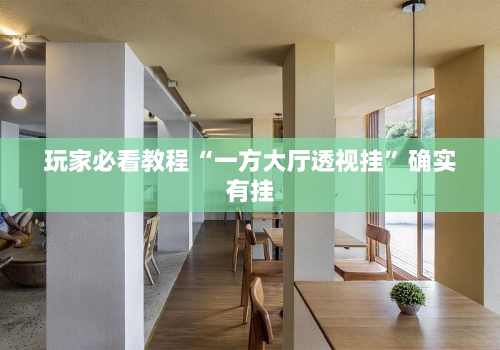 玩家必看教程“一方大厅透视挂”确实有挂