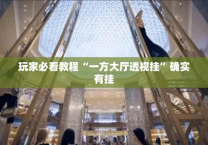 玩家必看教程“一方大厅透视挂	”确实有挂