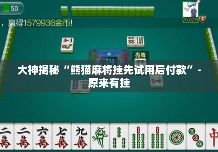 大神揭秘“熊猫麻将挂先试用后付款”-原来有挂