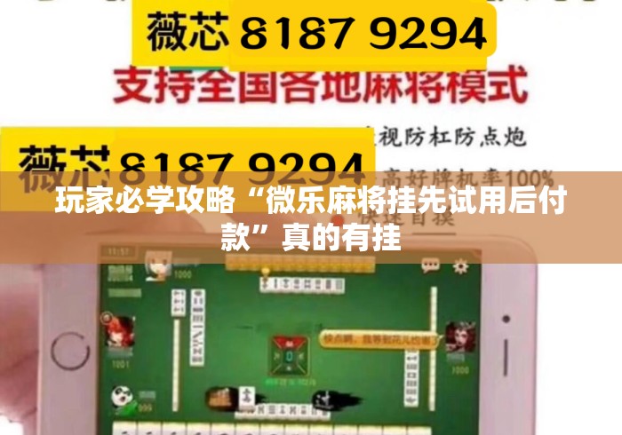 玩家必学攻略“微乐麻将挂先试用后付款”真的有挂