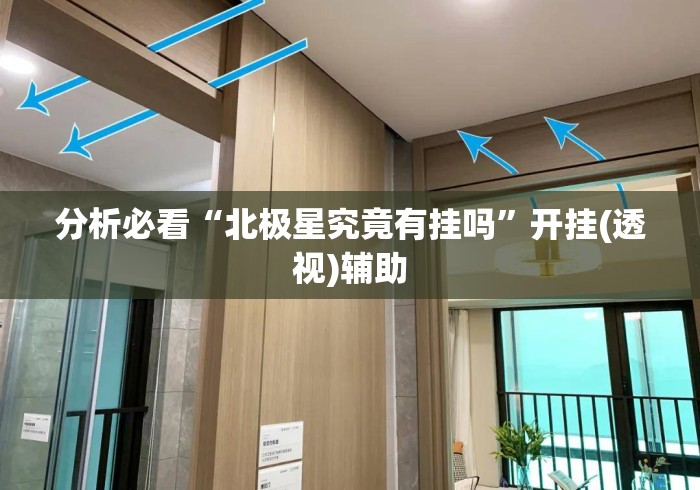 分析必看“北极星究竟有挂吗”开挂(透视)辅助