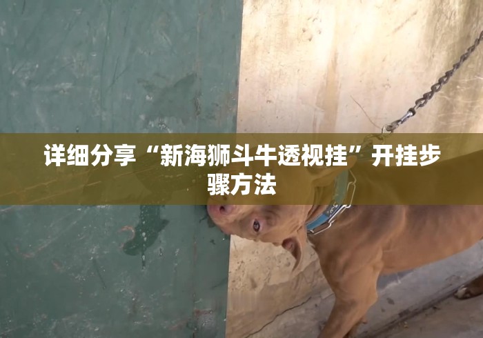 详细分享“新海狮斗牛透视挂”开挂步骤方法