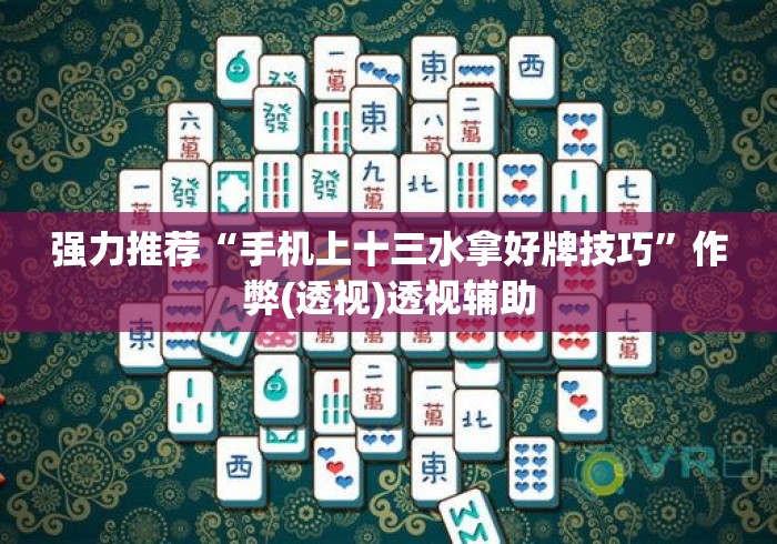 强力推荐“手机上十三水拿好牌技巧”作弊(透视)透视辅助