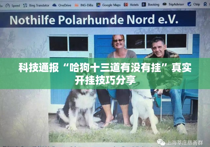 科技通报“哈狗十三道有没有挂”真实开挂技巧分享
