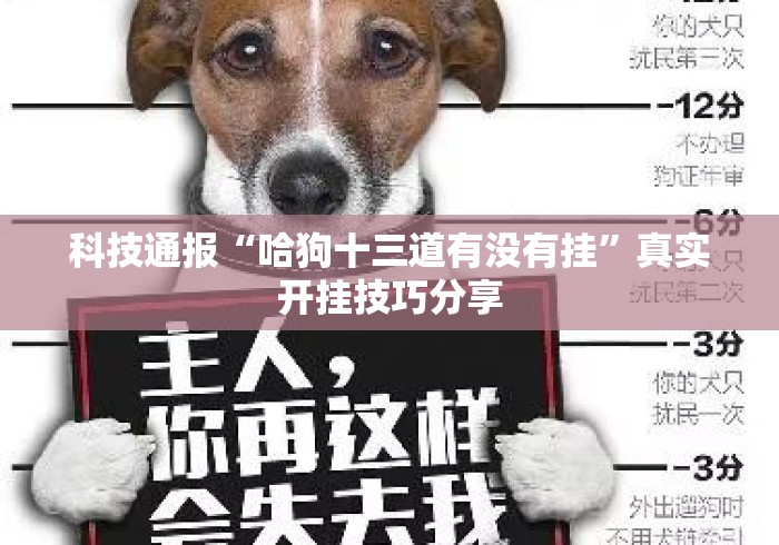 科技通报“哈狗十三道有没有挂	”真实开挂技巧分享
