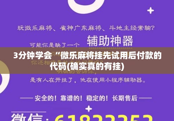 3分钟学会“微乐麻将挂先试用后付款的代码(确实真的有挂)