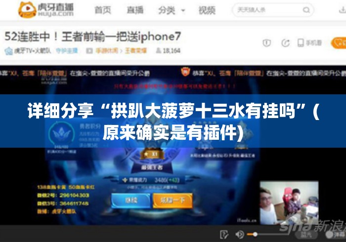 详细分享“拱趴大菠萝十三水有挂吗”(原来确实是有插件)