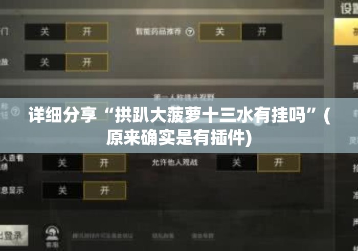 详细分享“拱趴大菠萝十三水有挂吗”(原来确实是有插件)