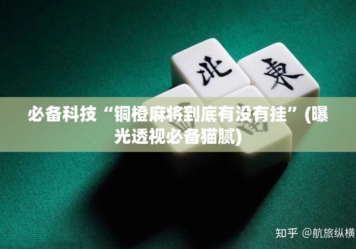必备科技“铜橙麻将到底有没有挂”(曝光透视必备猫腻)