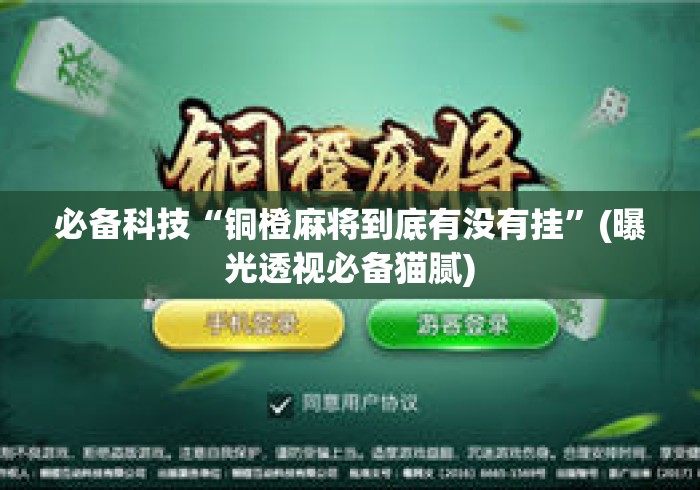 必备科技“铜橙麻将到底有没有挂”(曝光透视必备猫腻)