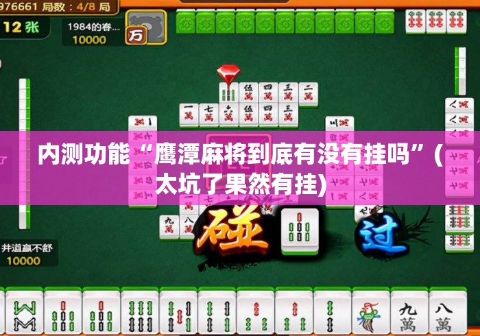 内测功能“鹰潭麻将到底有没有挂吗”(太坑了果然有挂)