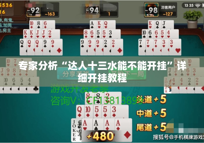 专家分析“达人十三水能不能开挂	”详细开挂教程