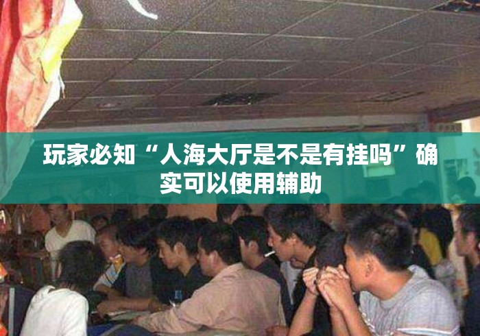 玩家必知“人海大厅是不是有挂吗”确实可以使用辅助