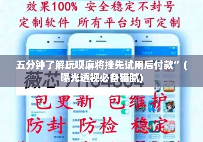 五分钟了解玩呗麻将挂先试用后付款”(曝光透视必备猫腻)