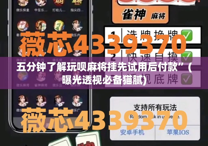 五分钟了解玩呗麻将挂先试用后付款	”(曝光透视必备猫腻)