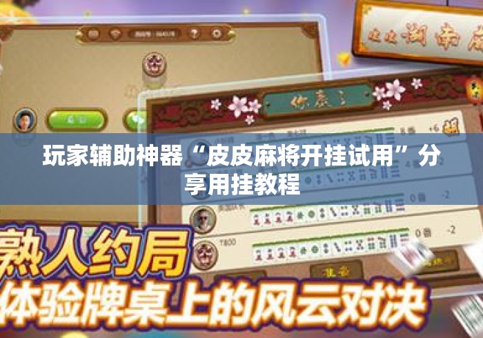 玩家辅助神器“皮皮麻将开挂试用”分享用挂教程