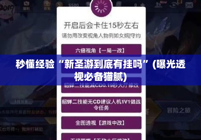 秒懂经验“新圣游到底有挂吗”(曝光透视必备猫腻)