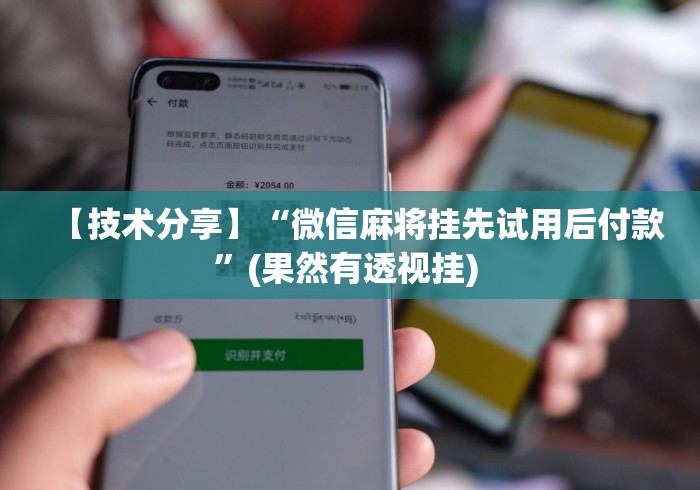 【技术分享】“微信麻将挂先试用后付款	”(果然有透视挂) 