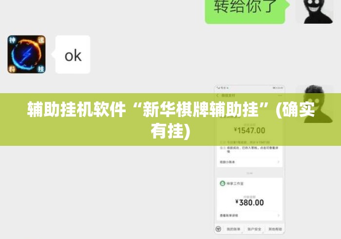 辅助挂机软件“新华棋牌辅助挂	”(确实有挂)