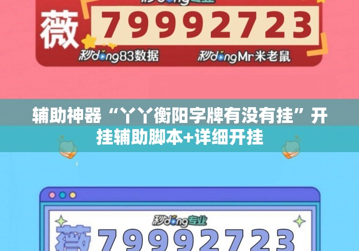 辅助神器“丫丫衡阳字牌有没有挂”开挂辅助脚本+详细开挂