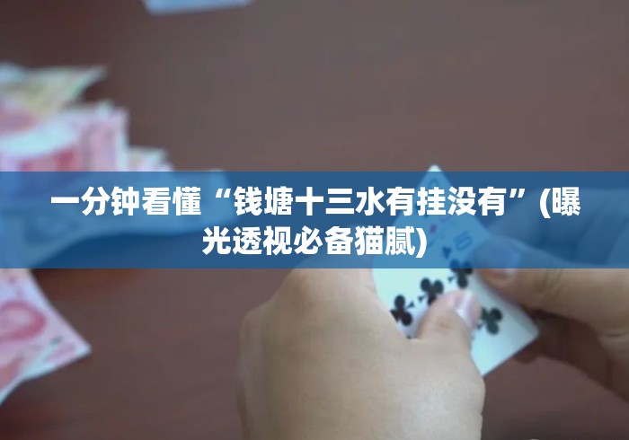 一分钟看懂“钱塘十三水有挂没有”(曝光透视必备猫腻)