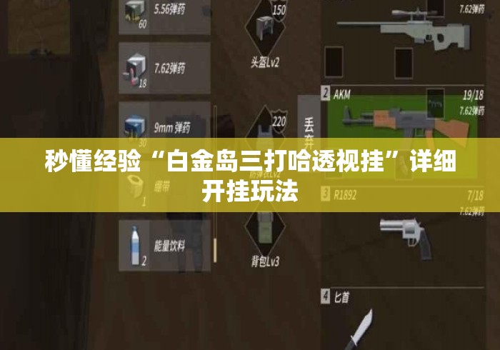 秒懂经验“白金岛三打哈透视挂”详细开挂玩法