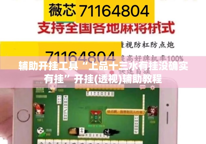 辅助开挂工具“上品十三水有挂没确实有挂”开挂(透视)辅助教程