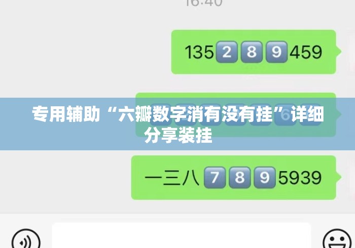 专用辅助“六瓣数字消有没有挂”详细分享装挂
