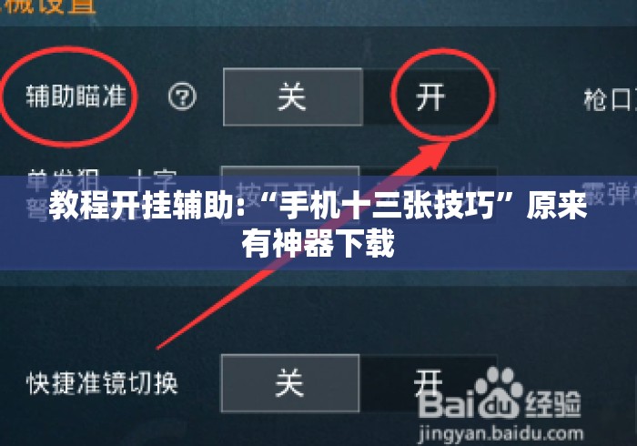 教程开挂辅助:“手机十三张技巧”原来有神器下载