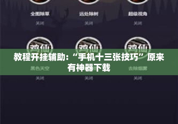 教程开挂辅助:“手机十三张技巧”原来有神器下载