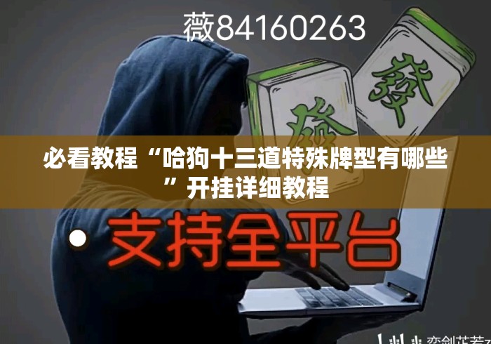 必看教程“哈狗十三道特殊牌型有哪些	”开挂详细教程
