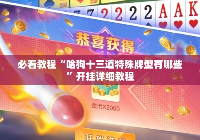 必看教程“哈狗十三道特殊牌型有哪些”开挂详细教程