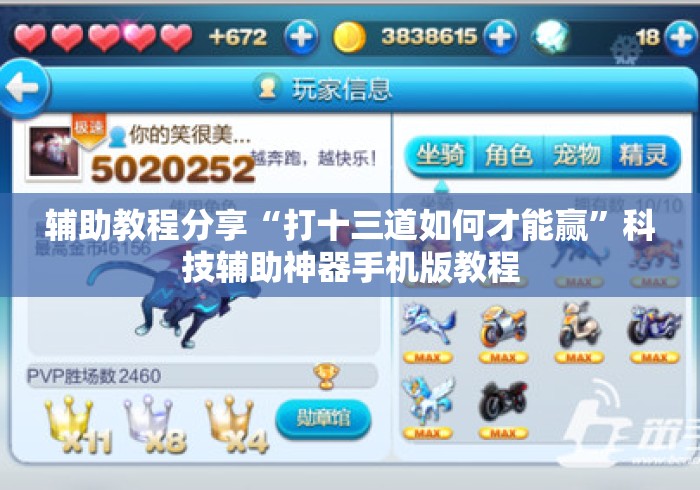 辅助教程分享“打十三道如何才能赢”科技辅助神器手机版教程
