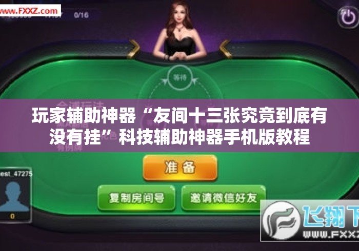 玩家辅助神器“友间十三张究竟到底有没有挂”科技辅助神器手机版教程