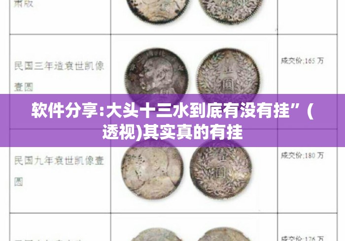 软件分享:大头十三水到底有没有挂	”(透视)其实真的有挂