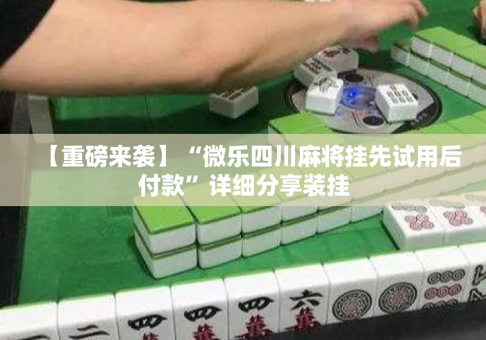 【重磅来袭】“微乐四川麻将挂先试用后付款”详细分享装挂