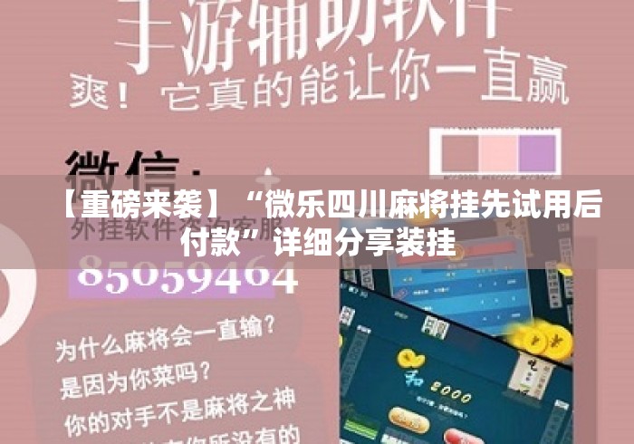 【重磅来袭】“微乐四川麻将挂先试用后付款”详细分享装挂
