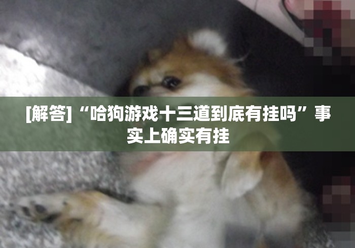 [解答]“哈狗游戏十三道到底有挂吗	”事实上确实有挂
