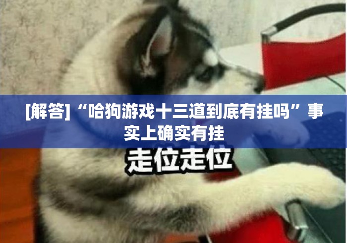 [解答]“哈狗游戏十三道到底有挂吗”事实上确实有挂